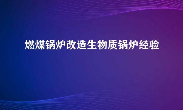 燃煤锅炉改造生物质锅炉经验