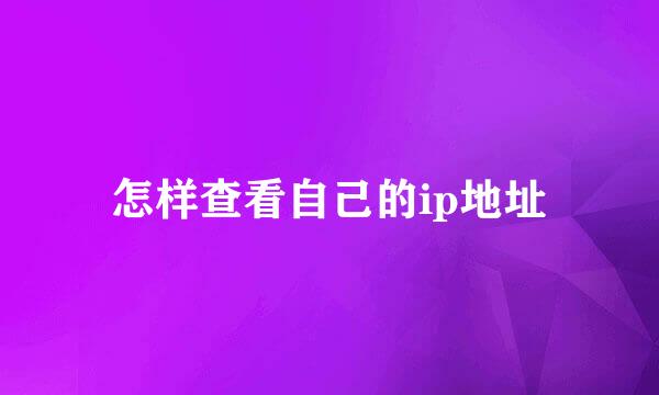 怎样查看自己的ip地址