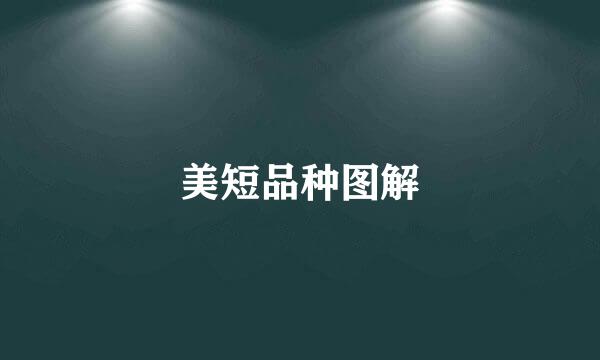 美短品种图解