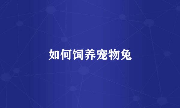 如何饲养宠物兔