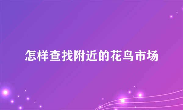 怎样查找附近的花鸟市场