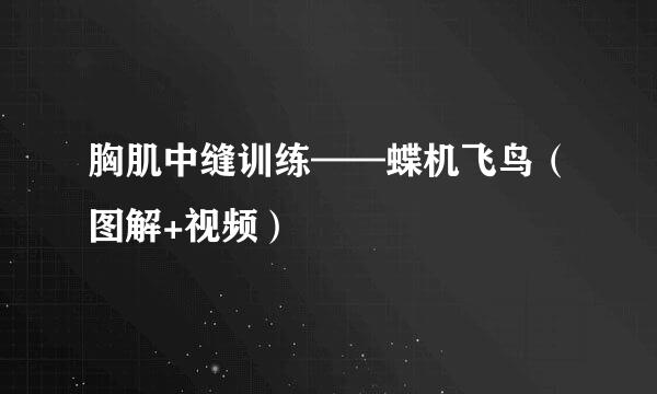 胸肌中缝训练——蝶机飞鸟（图解+视频）