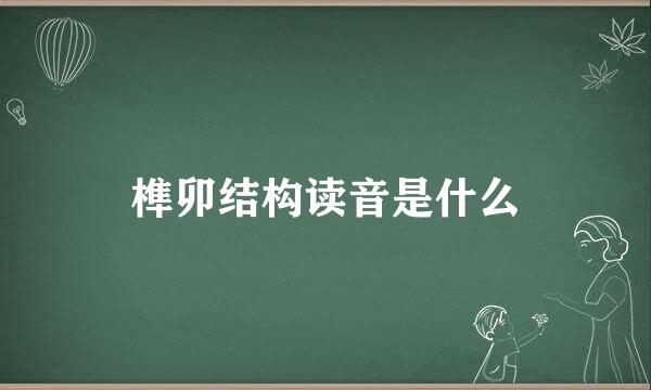 榫卯结构读音是什么