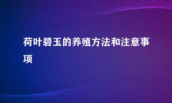 荷叶碧玉的养殖方法和注意事项