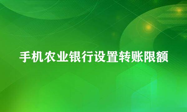 手机农业银行设置转账限额