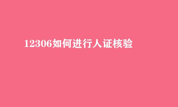 12306如何进行人证核验