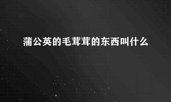 蒲公英的毛茸茸的东西叫什么