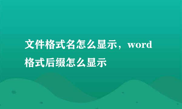 文件格式名怎么显示,word格式后缀怎么显示