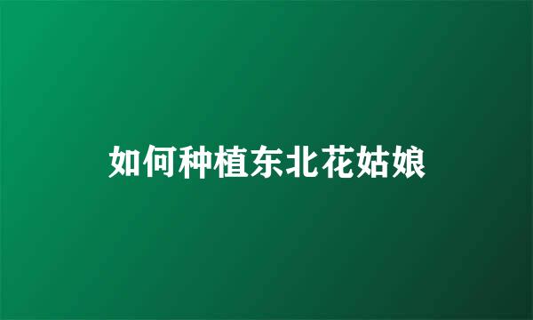 如何种植东北花姑娘