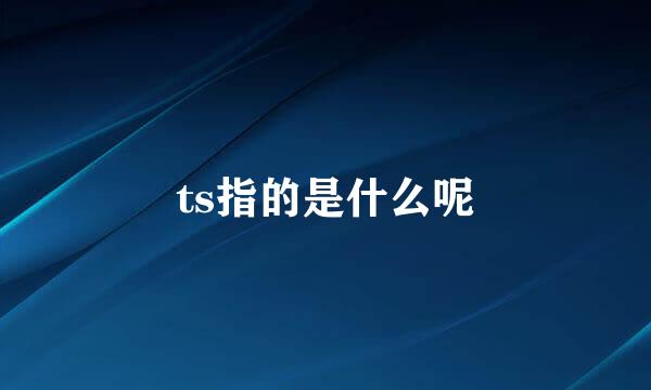 ts指的是什么呢