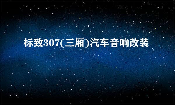 标致307(三厢)汽车音响改装