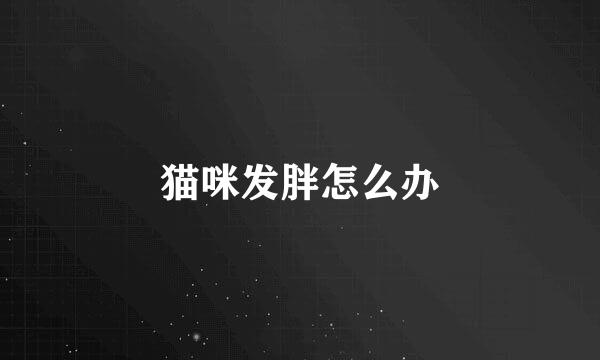 猫咪发胖怎么办