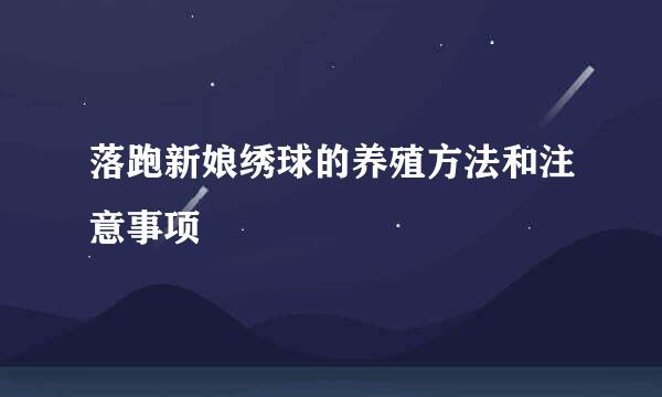 落跑新娘绣球的养殖方法和注意事项