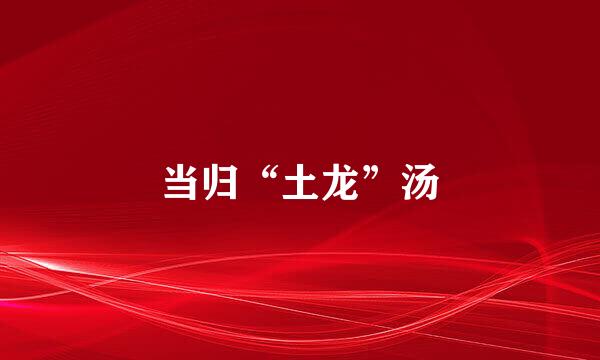 当归“土龙”汤