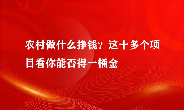 农村做什么挣钱？这十多个项目看你能否得一桶金