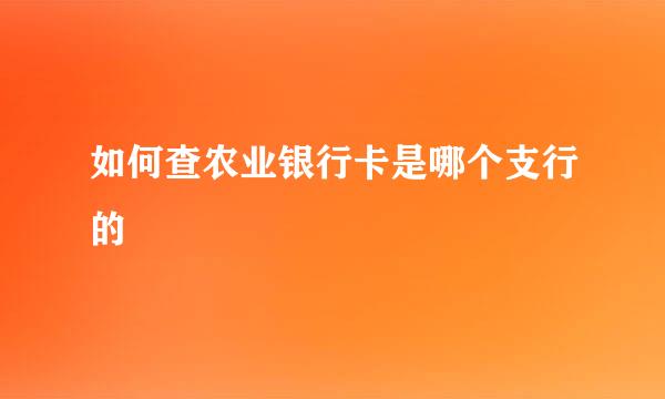 如何查农业银行卡是哪个支行的