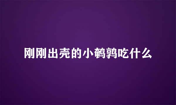 刚刚出壳的小鹌鹑吃什么