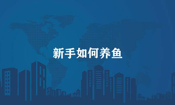 新手如何养鱼