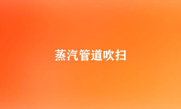 蒸汽管道吹扫