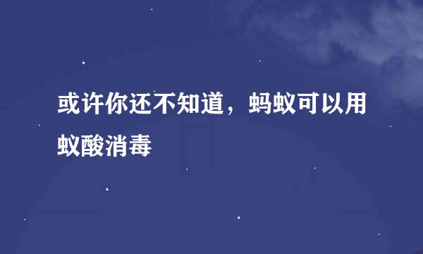 或许你还不知道，蚂蚁可以用蚁酸消毒