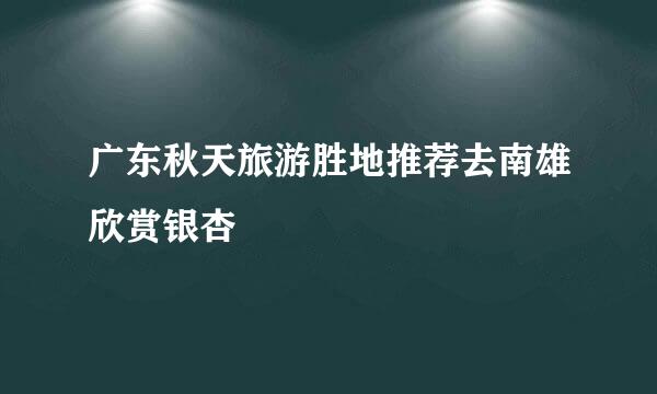 广东秋天旅游胜地推荐去南雄欣赏银杏