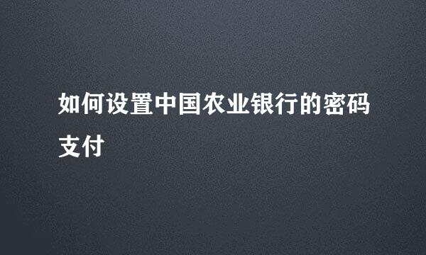 如何设置中国农业银行的密码支付