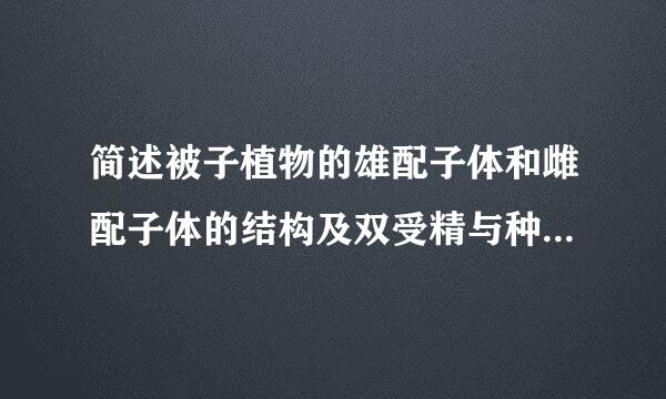 简述被子植物的雄配子体和雌配子体的结构及双受精与种子各结构形成的关系