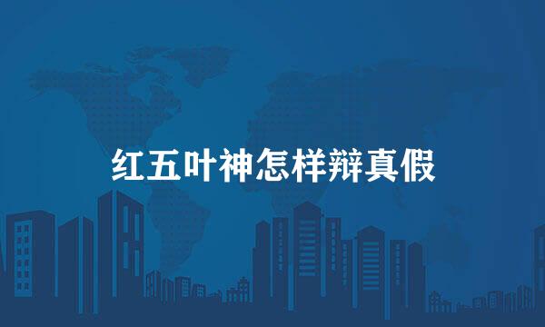 红五叶神怎样辩真假