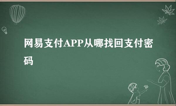 网易支付APP从哪找回支付密码