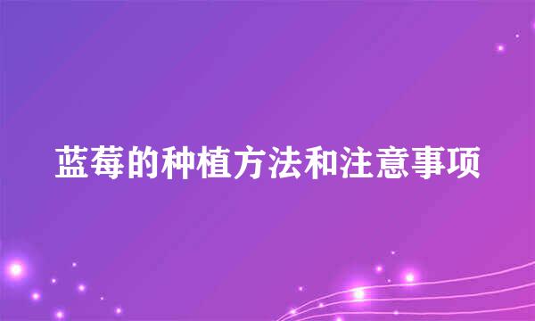 蓝莓的种植方法和注意事项
