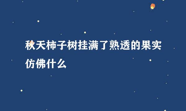 秋天柿子树挂满了熟透的果实仿佛什么