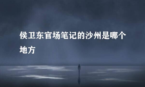 侯卫东官场笔记的沙州是哪个地方