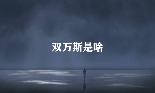 双万斯是啥