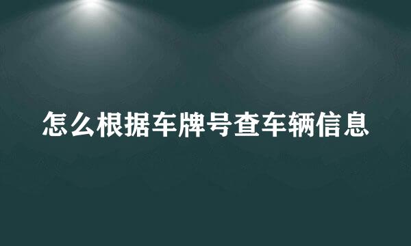 怎么根据车牌号查车辆信息