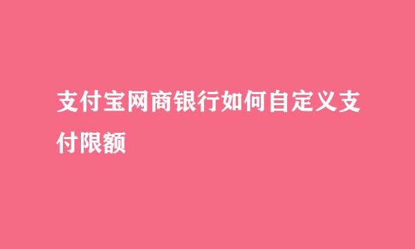 支付宝网商银行如何自定义支付限额