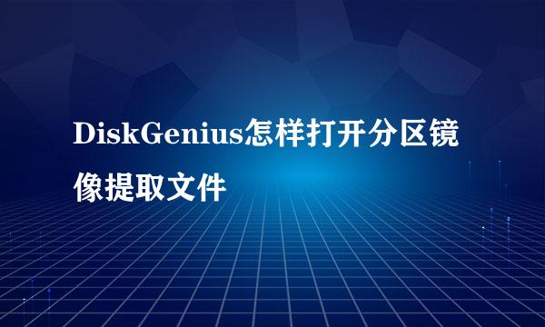 DiskGenius怎样打开分区镜像提取文件