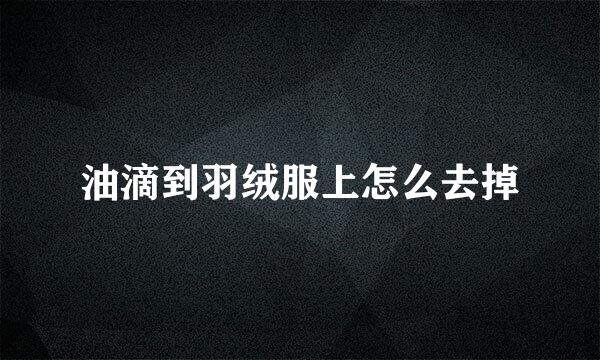 油滴到羽绒服上怎么去掉