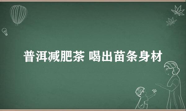 普洱减肥茶 喝出苗条身材