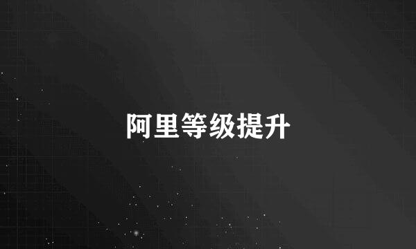 阿里等级提升