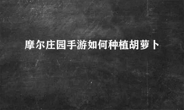 摩尔庄园手游如何种植胡萝卜