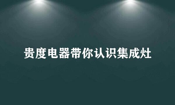 贵度电器带你认识集成灶