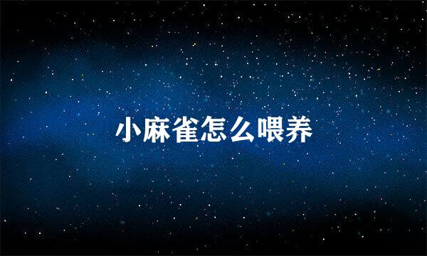 小麻雀怎么喂养