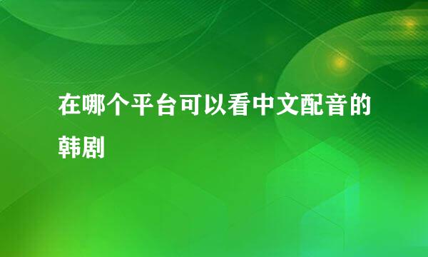 在哪个平台可以看中文配音的韩剧