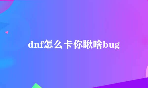 dnf怎么卡你瞅啥bug
