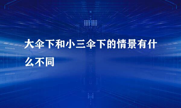 大伞下和小三伞下的情景有什么不同