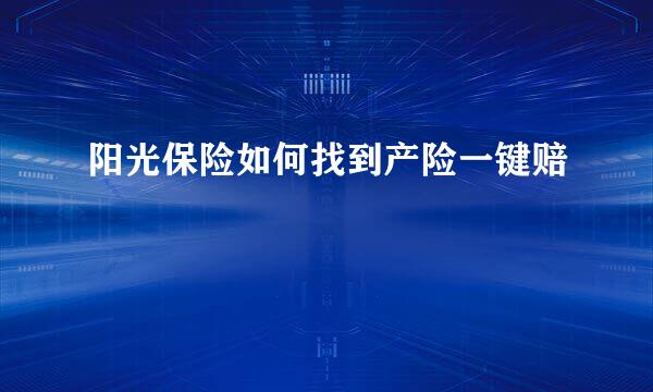 阳光保险如何找到产险一键赔