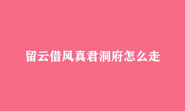 留云借风真君洞府怎么走