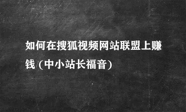 如何在搜狐视频网站联盟上赚钱 (中小站长福音)