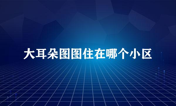 大耳朵图图住在哪个小区