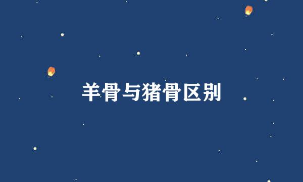 羊骨与猪骨区别